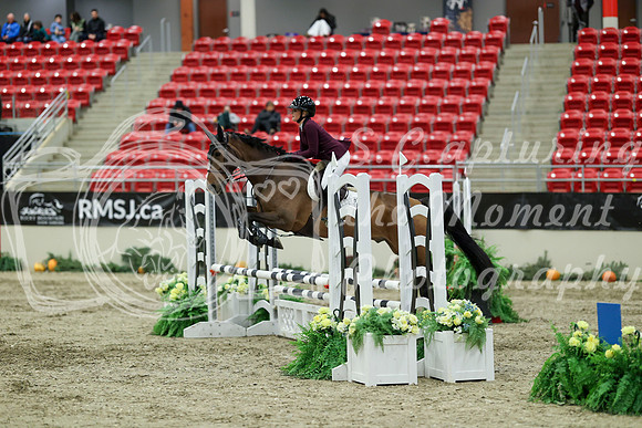 01360 - Mara - 2026 Royal West - Saturday October 2th