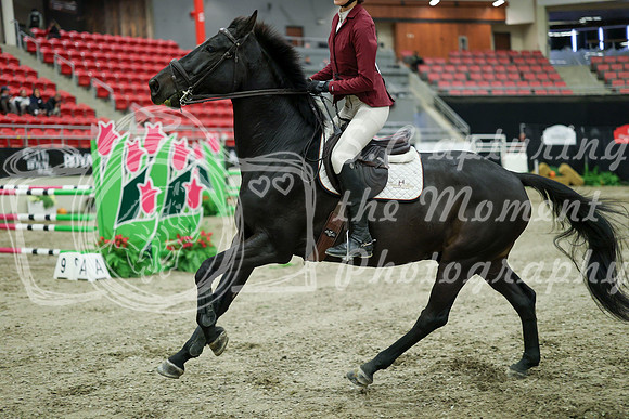 03868 - Mara - 2026 Royal West - Wednesday October 21st