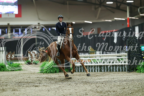 05243 - Mara - 2026 Royal West - Saturday October 17th