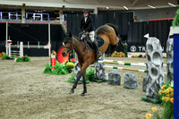 04515 - Mara - 2026 Royal West - Wednesday October 21st