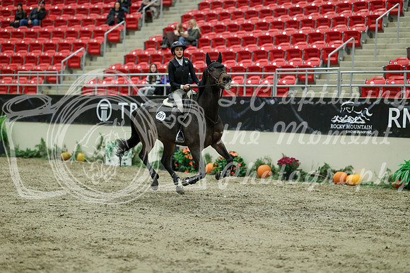 01498 - Mara - 2026 Royal West - Wednesday October 21st