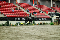 02000 - Mara - 2026 Royal West - Saturday October 17th