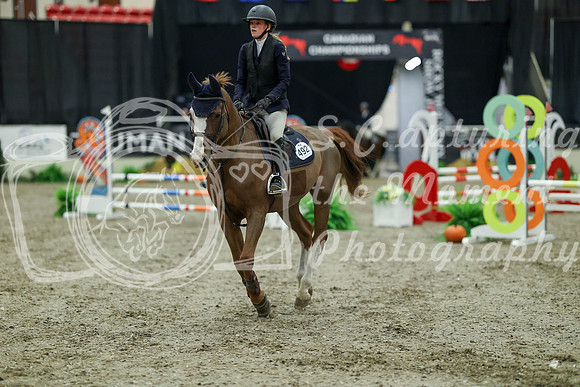 00251 - Mara - 2026 Royal West - Thursday October 15th