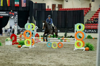 01518 - Mara - 2026 Royal West - Thursday October 15th