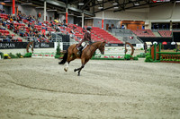 06877 - Mara - 2026 Royal West - Saturday October 17th