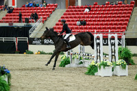 00426 - Mara - 2026 Royal West - Saturday October 2th