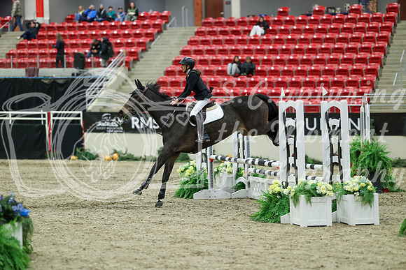 00426 - Mara - 2026 Royal West - Saturday October 2th