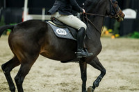 08170 - Mara - 2026 Royal West - Friday October 16th