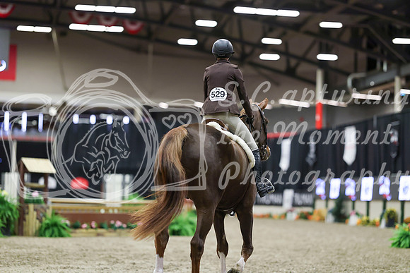 00828 - Mara - 2026 Royal West - Tuesday October 20th