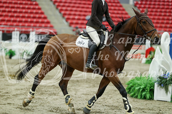 05404 - Mara - 2026 Royal West - Saturday October 24th