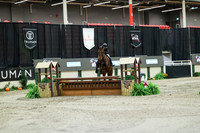 02634 - Mara - 2026 Royal West - Monday October 19th