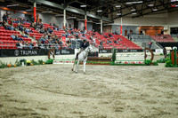 07747 - Mara - 2026 Royal West - Saturday October 17th