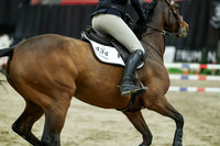 05817 - Mara - 2026 Royal West - Sunday October 18th