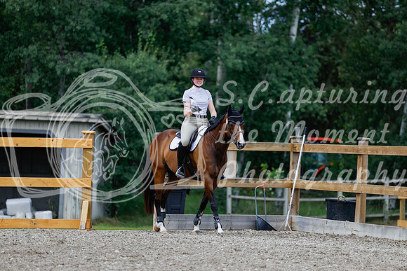 2025 - Haylee - Picco Horse Show - Thursday July 24th 03274