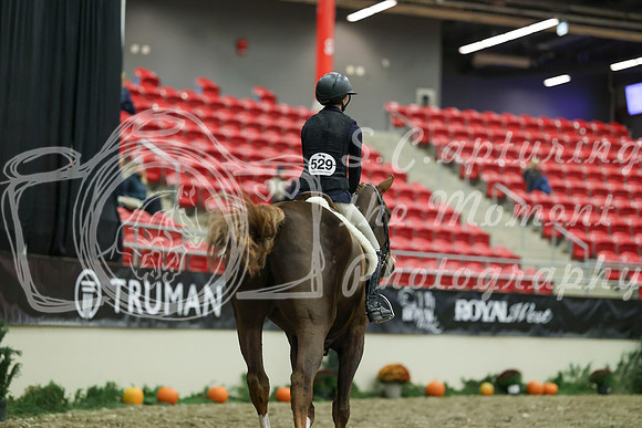 02884 - Mara - 2026 Royal West - Saturday October 17th