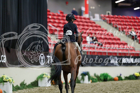 00077 - Mara - 2026 Royal West - Tuesday October 20th