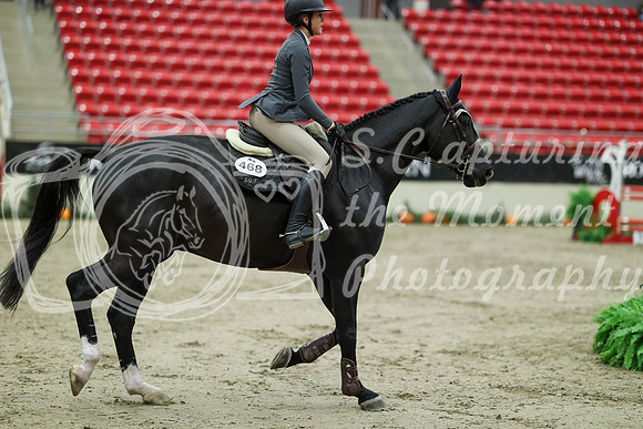 04524 - Mara - 2026 Royal West - Saturday October 24th