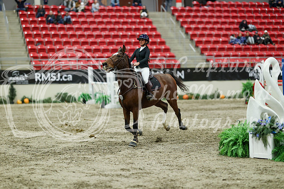06016 - Mara - 2026 Royal West - Saturday October 24th