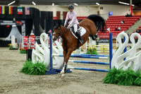 01262 - Mara - 2026 Royal West - Saturday October 2th