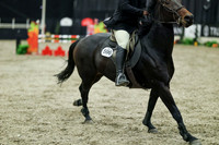 06380 - Mara - 2026 Royal West - Thursday October 15th