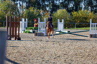 00928 - Shea - 2026 Harvest - Sunday September 20th