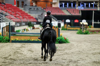 03803 - Mara - 2026 Royal West - Tuesday October 20th
