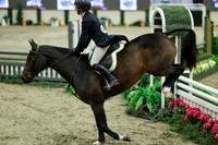 05600 - Mara - 2026 Royal West - Tuesday October 20th