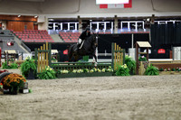 00027 - Mara - 2026 Royal West - Tuesday October 20th