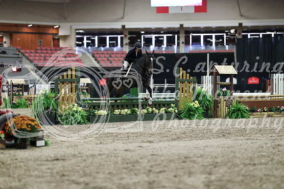00027 - Mara - 2026 Royal West - Tuesday October 20th