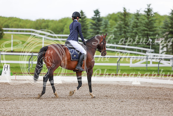 2025 - Dressage Festival - Sunday July 6th - 02137