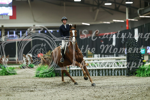 05245 - Mara - 2026 Royal West - Saturday October 17th