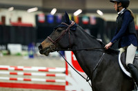 02810 - Mara - 2026 Royal West - Friday October 16th