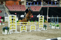 08437 - Mara - 2026 Royal West - Thursday October 15th