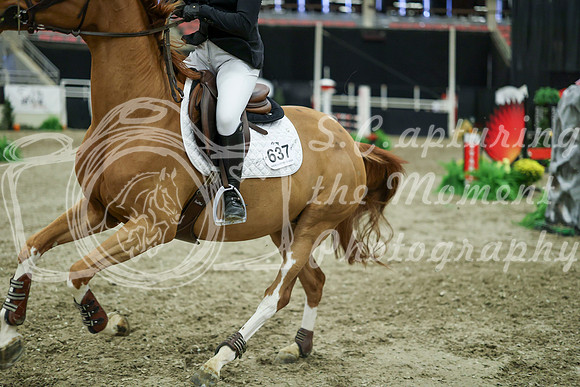 05719 - Mara - 2026 Royal West - Wednesday October 21st