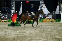 06294 - Mara - 2026 Royal West - Sunday October 18th
