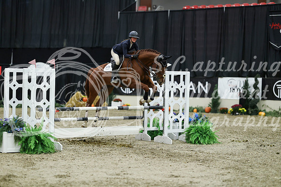03300 - Mara - 2026 Royal West - Thursday October 22nd