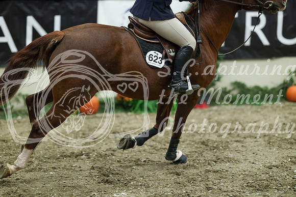 04021 - Mara - 2026 Royal West - Friday October 16th