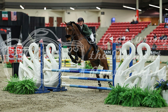 01085 - Mara - 2026 Royal West - Saturday October 2th