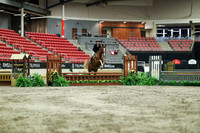 02393 - Mara - 2026 Royal West - Saturday October 17th