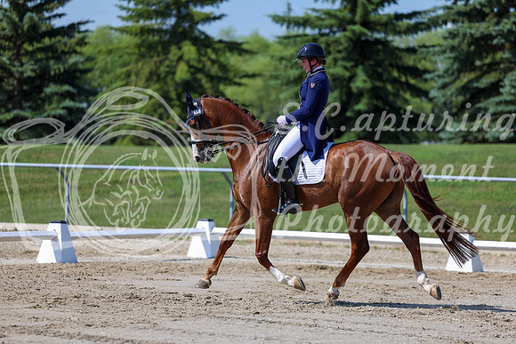 2025 - Dressage Festival - Saturday July 5th - 04268