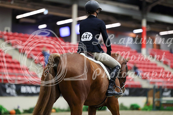 00668 - Mara - 2026 Royal West - Tuesday October 20th