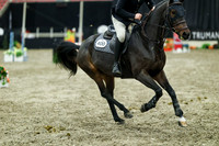 07850 - Mara - 2026 Royal West - Thursday October 15th