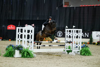 02138 - Mara - 2026 Royal West - Thursday October 22nd
