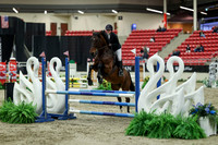 01143 - Mara - 2026 Royal West - Saturday October 2th