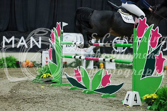 11941 - Shea - 2026 Royal West - Friday October 16th