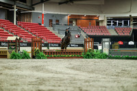 01637 - Mara - 2026 Royal West - Saturday October 17th