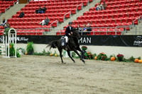 00631 - Mara - 2026 Royal West - Wednesday October 21st