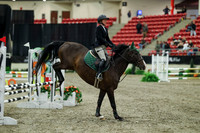 00180 - Mara - 2026 Royal West - Thursday October 15th