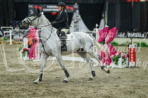 01680 - Mara - 2026 Royal West - Sunday October 18th