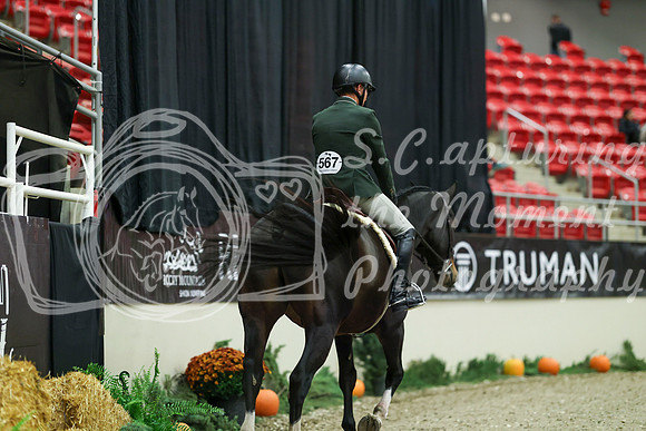 01176 - Mara - 2026 Royal West - Saturday October 17th